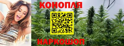 сатива Пенза